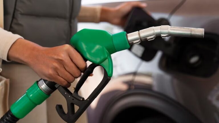 WhatsApp Image 2025-01-03 at 12.30.15