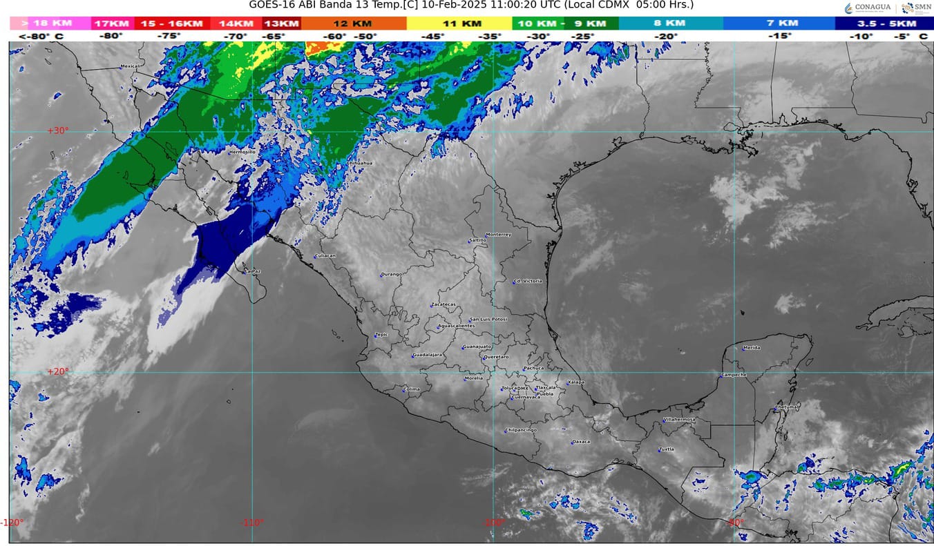 WhatsApp Image 2025-02-10 at 07.50.08