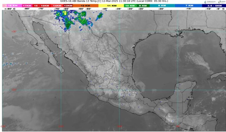 WhatsApp Image 2025-03-12 at 07.13.22