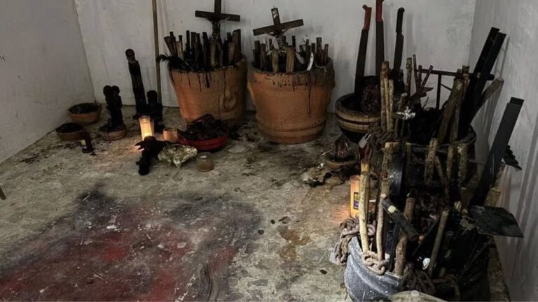 WhatsApp Image 2025-03-14 at 08.27.23