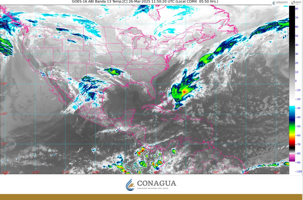 WhatsApp Image 2025-03-26 at 07.29.50