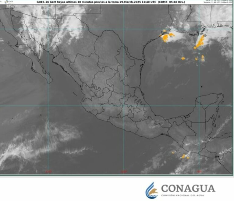 WhatsApp Image 2025-03-29 at 08.45.05