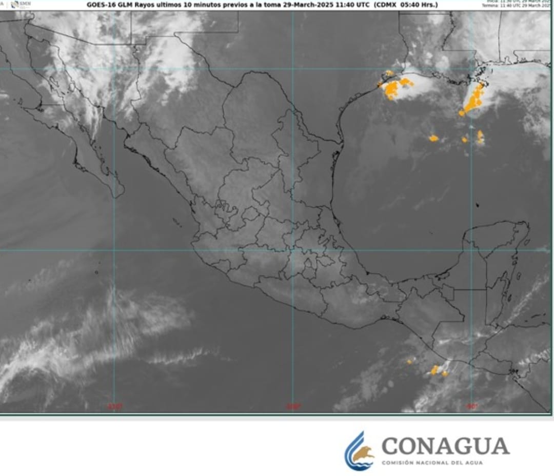 WhatsApp Image 2025-03-29 at 08.45.05