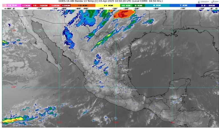 WhatsApp Image 2025-04-03 at 07.24.47