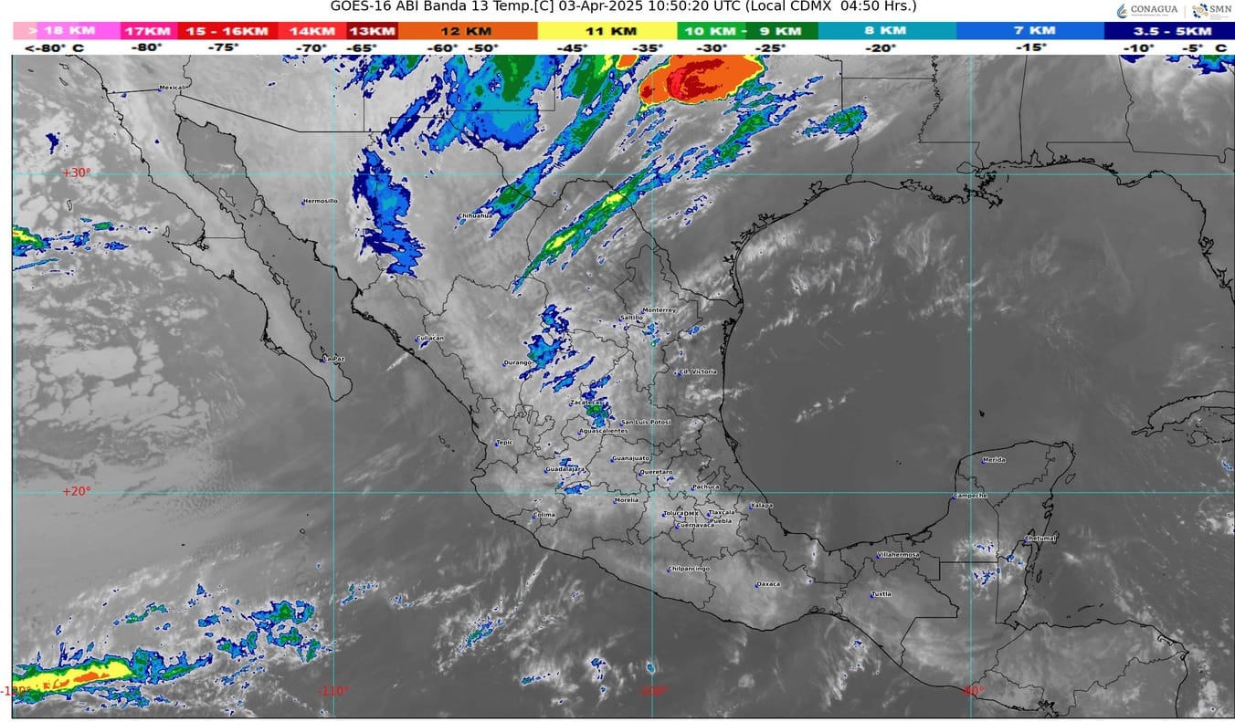 WhatsApp Image 2025-04-03 at 07.24.47