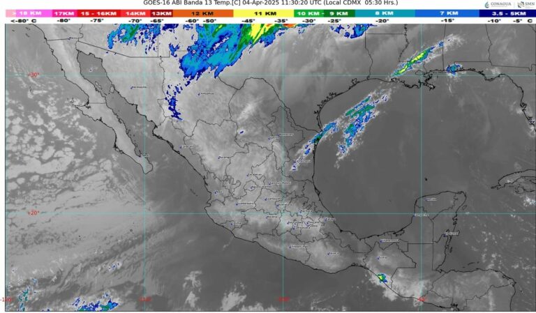 WhatsApp Image 2025-04-04 at 07.33.03