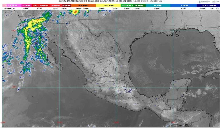 WhatsApp Image 2025-04-13 at 08.26.36