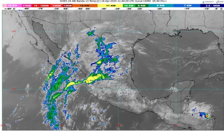 WhatsApp Image 2025-04-16 at 08.07.49