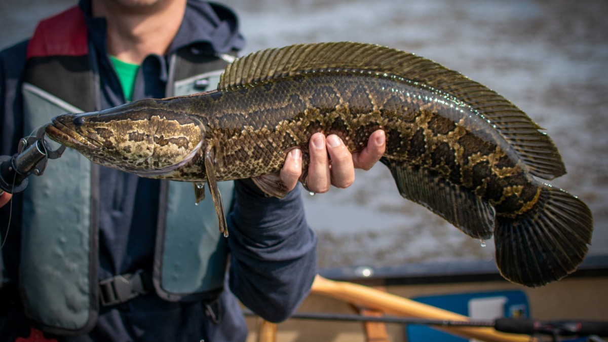 WhatsApp Image 2025-04-24 at 11.15.07