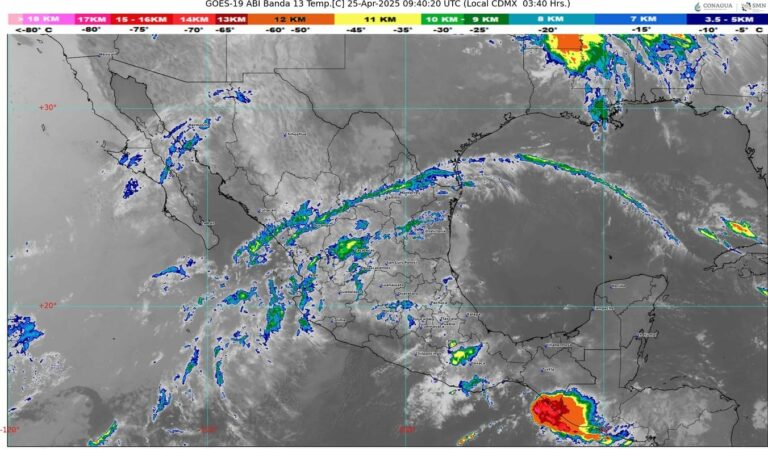 WhatsApp Image 2025-04-25 at 07.13.33