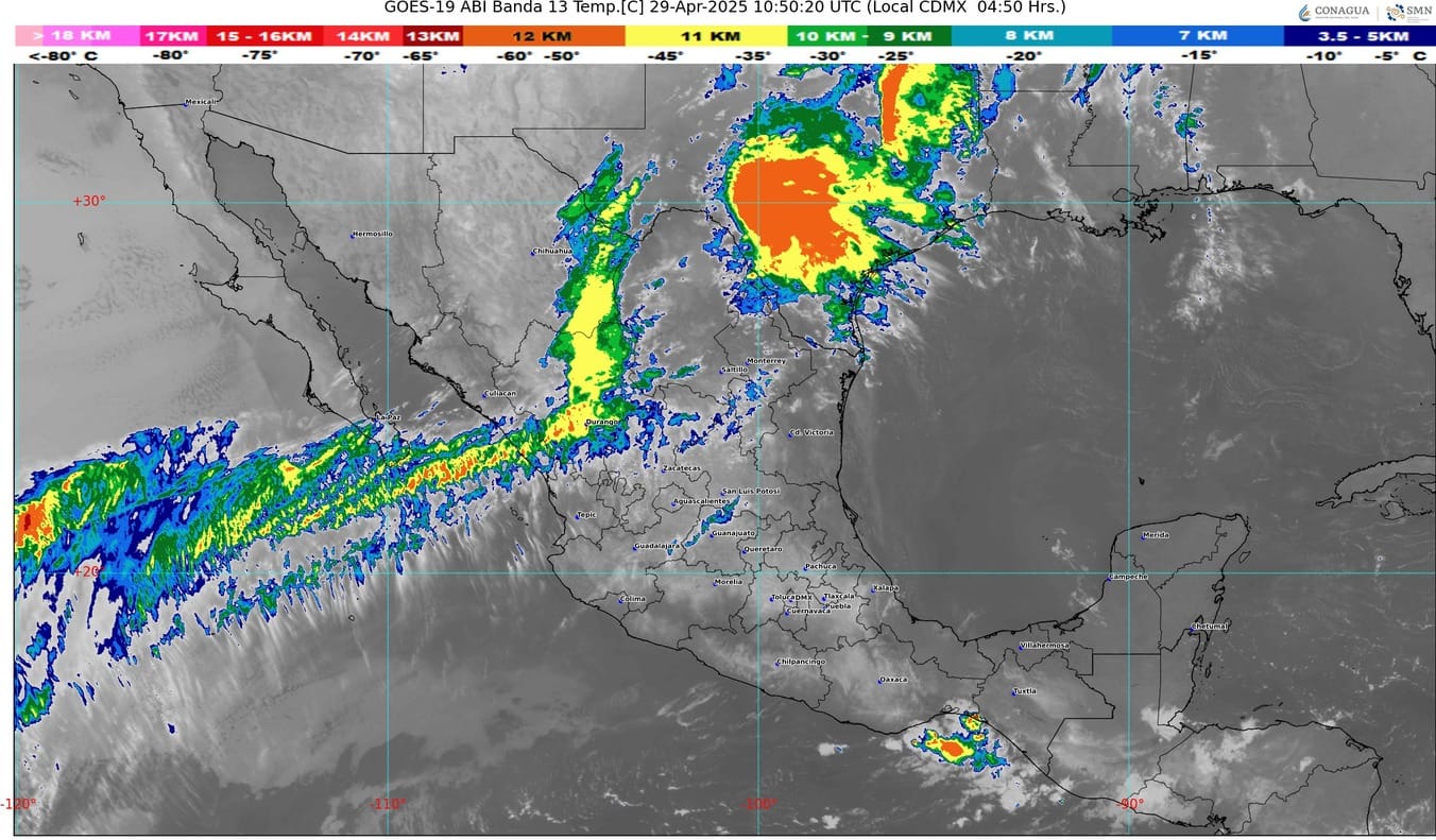 WhatsApp Image 2025-04-29 at 07.20.31