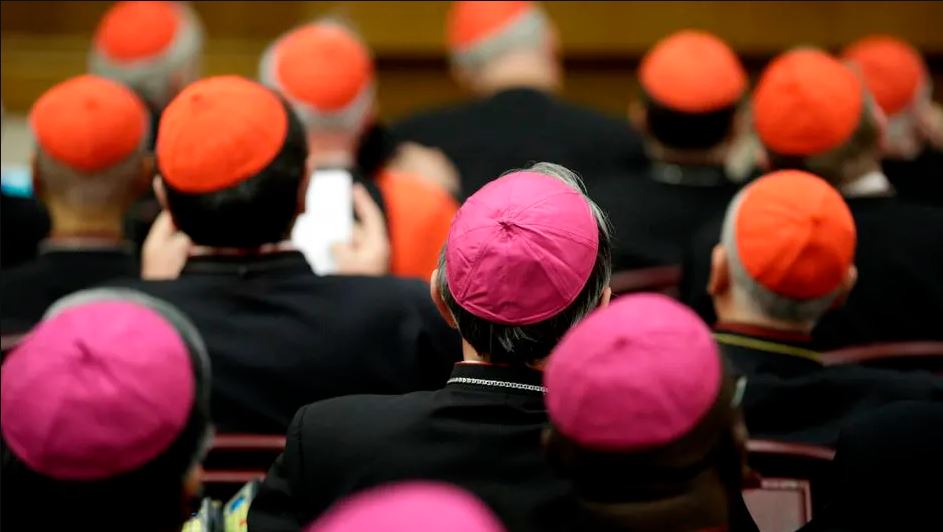 WhatsApp Image 2025-04-29 at 09.12.52