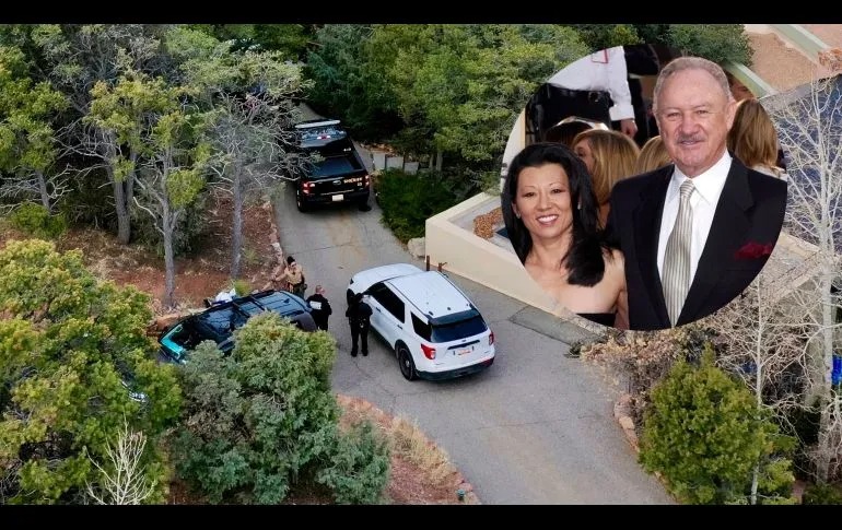 WhatsApp Image 2025-04-29 at 11.26.41