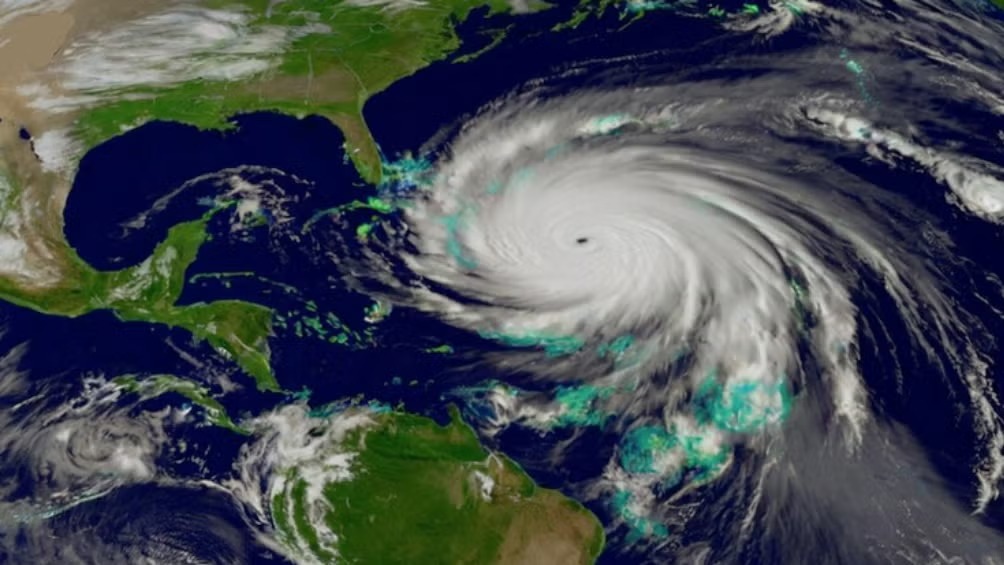 WhatsApp Image 2025-05-02 at 10.08.00