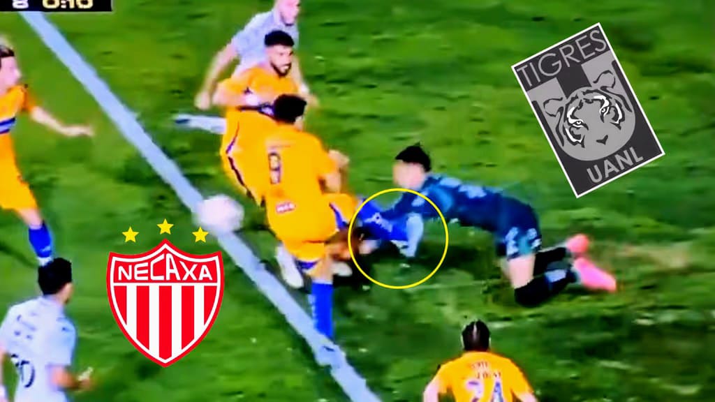 WhatsApp Image 2025-05-12 at 08.53.55