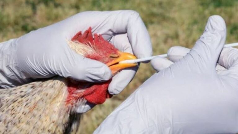 WhatsApp Image 2025-05-17 at 14.20.51