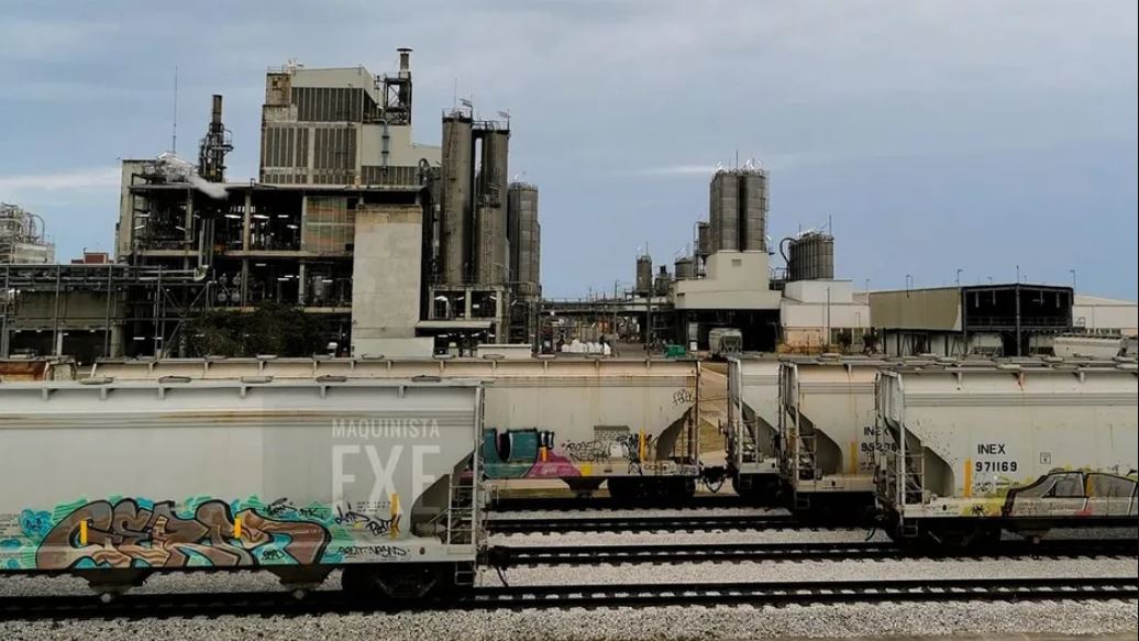 WhatsApp Image 2025-05-22 at 08.47.29