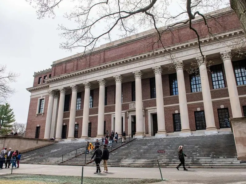 WhatsApp Image 2025-05-23 at 10.45.46