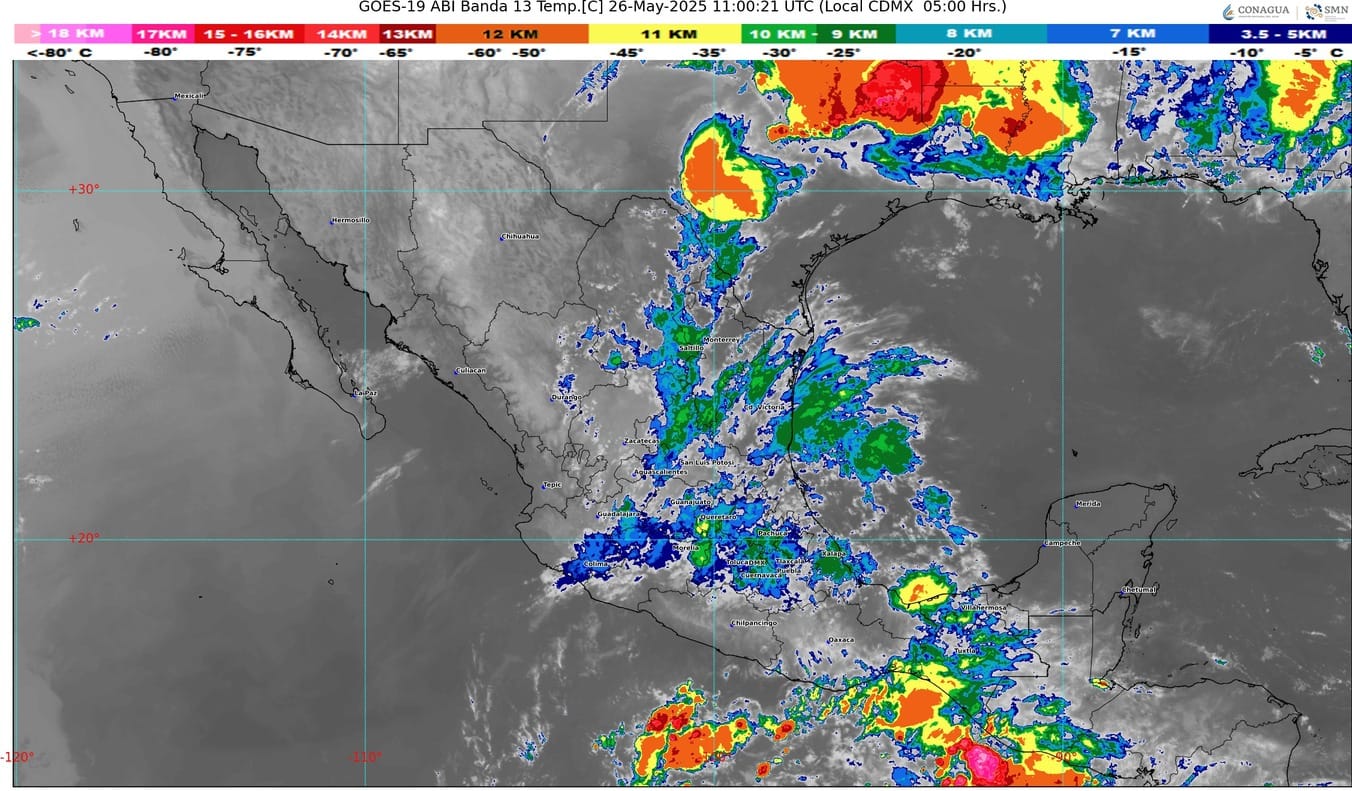 WhatsApp Image 2025-05-26 at 07.22.32