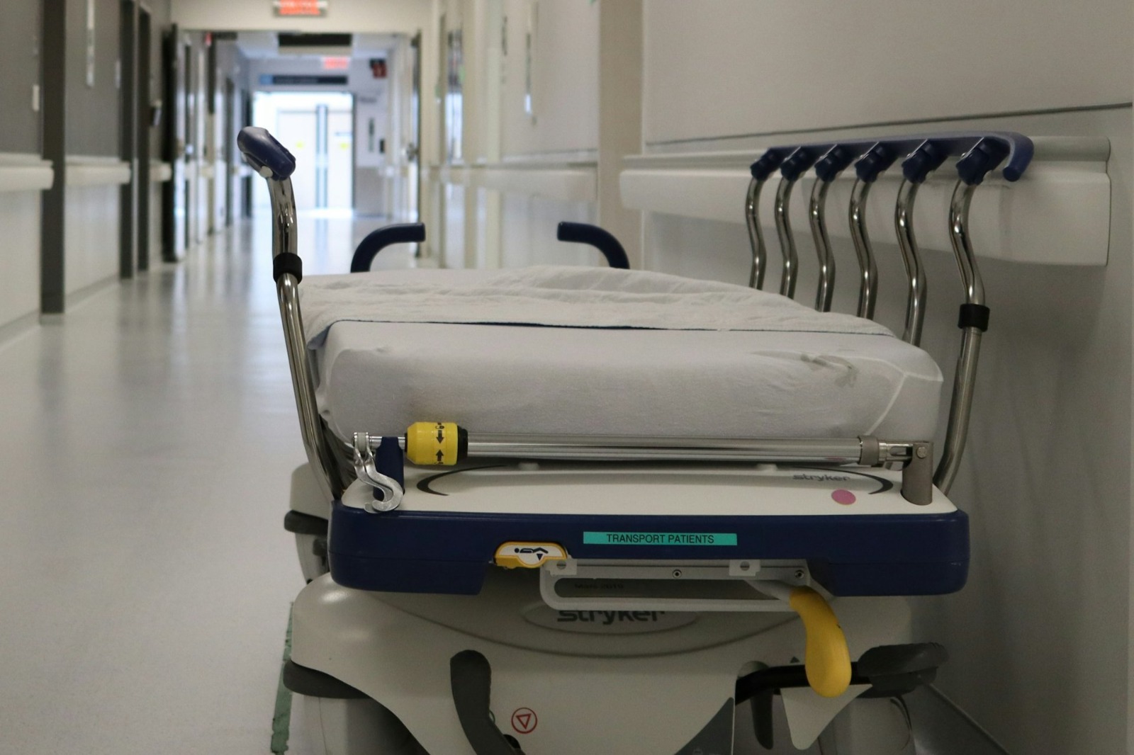 WhatsApp Image 2025-05-27 at 11.02.31