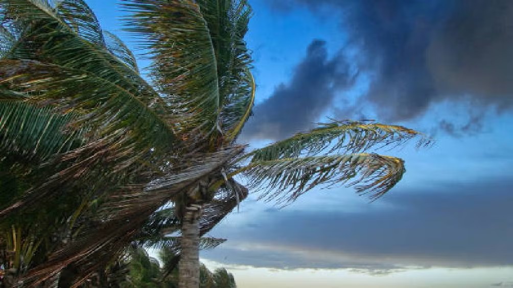 WhatsApp Image 2025-06-06 at 08.35.12