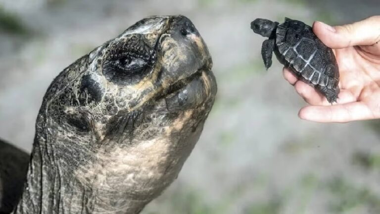 WhatsApp Image 2025-06-16 at 11.03.35 (1)