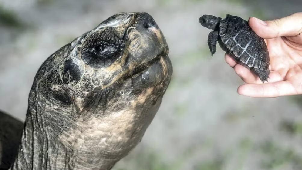 WhatsApp Image 2025-06-16 at 11.03.35 (1)