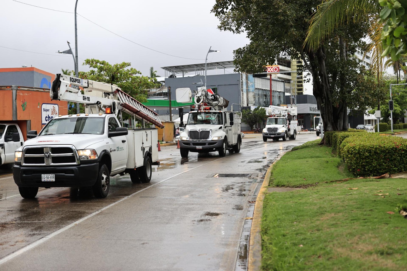 WhatsApp Image 2025-06-20 at 08.37.26 (1)