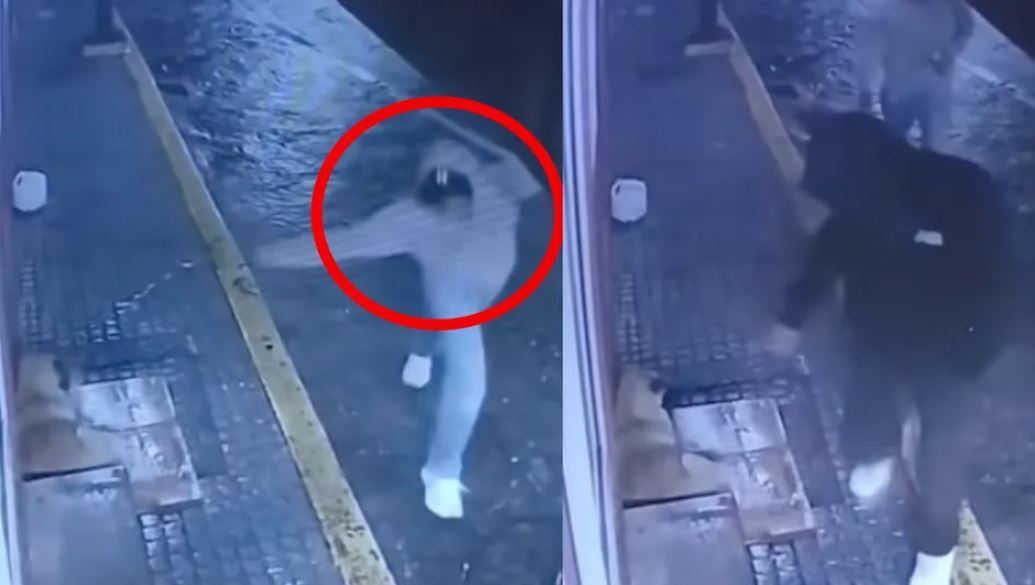 WhatsApp Image 2025-06-26 at 09.43.05