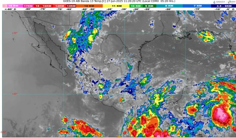 WhatsApp Image 2025-06-27 at 07.56.13