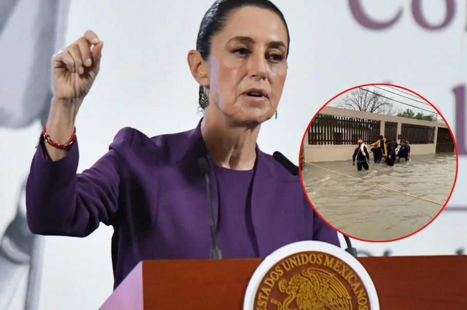 WhatsApp Image 2025-07-04 at 12.40.24