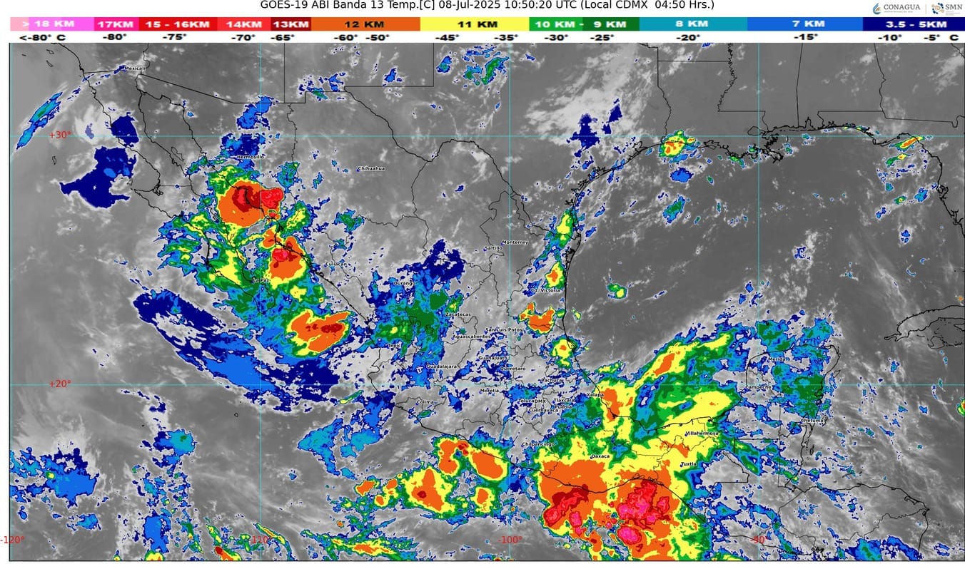 WhatsApp Image 2025-07-08 at 07.30.01