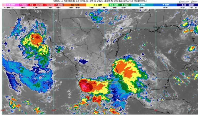 WhatsApp Image 2025-07-09 at 07.30.16