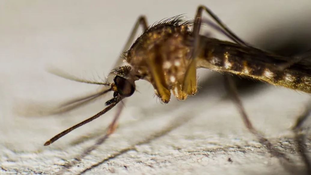 WhatsApp Image 2025-07-12 at 10.56.53