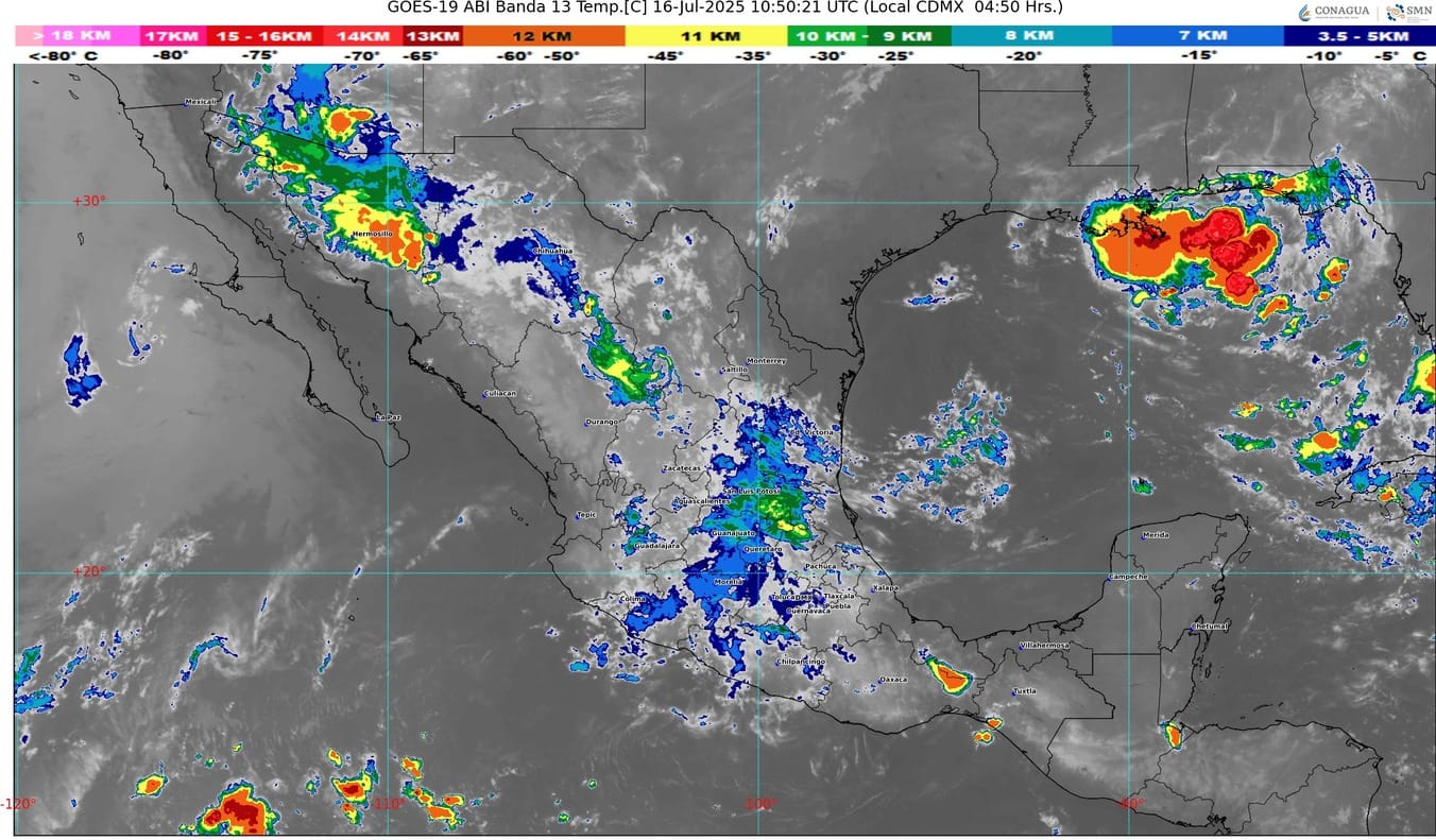 WhatsApp Image 2025-07-16 at 07.27.31