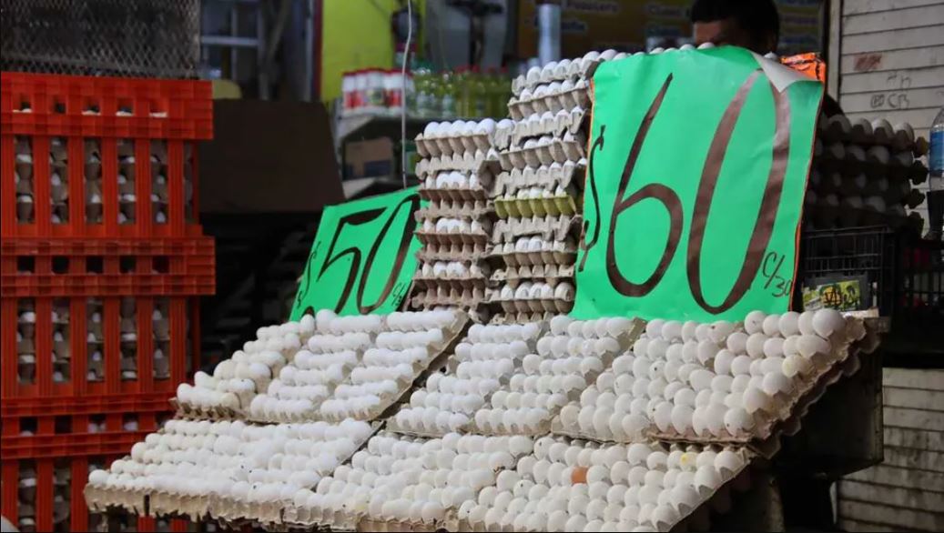 WhatsApp Image 2025-07-24 at 08.34.50