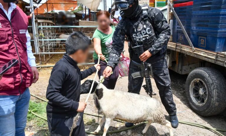 WhatsApp Image 2025-07-25 at 10.33.47