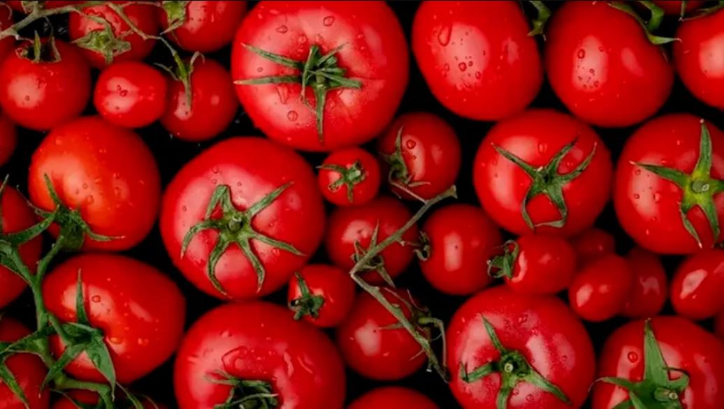 WhatsApp Image 2025-08-06 at 08.54.58