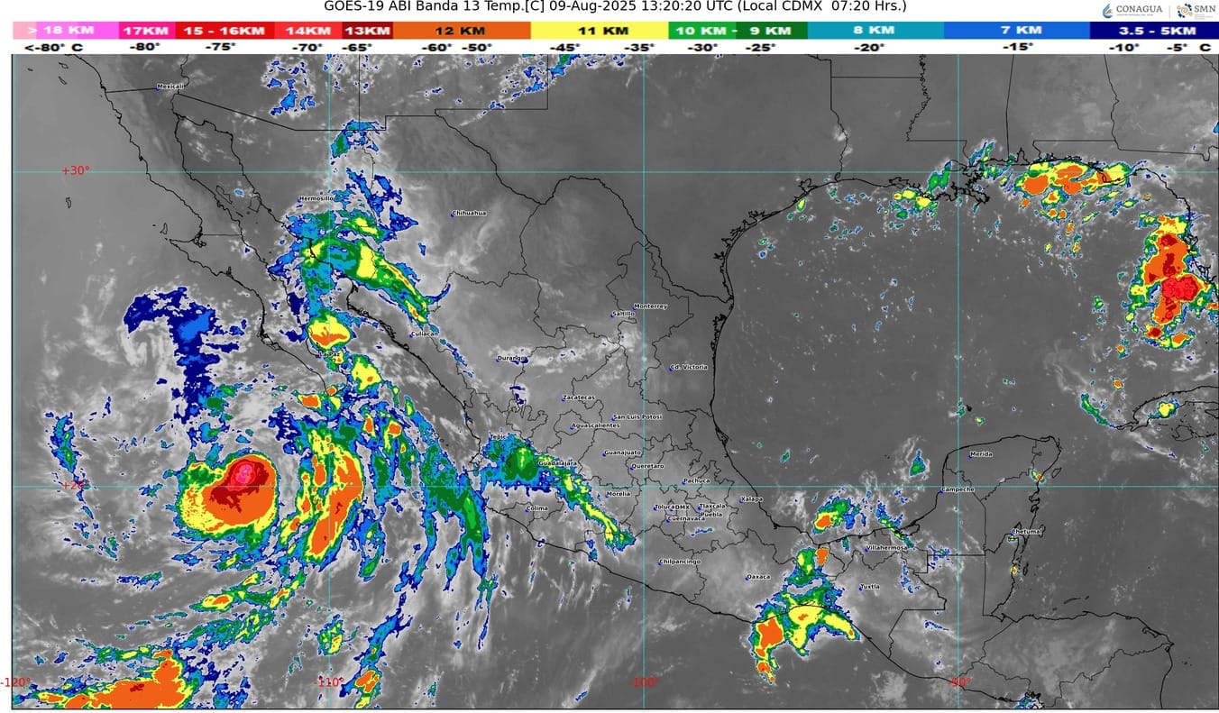 WhatsApp Image 2025-08-09 at 08.51.17