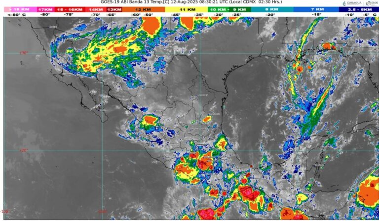 WhatsApp Image 2025-08-12 at 07.48.28