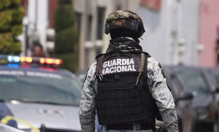 WhatsApp Image 2025-08-12 at 08.22.51