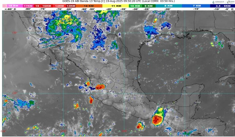 WhatsApp Image 2025-08-19 at 07.42.50