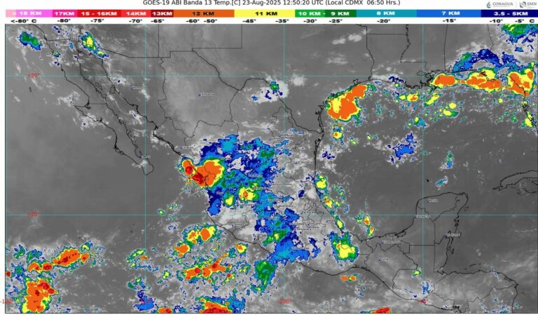 WhatsApp Image 2025-08-23 at 08.22.02