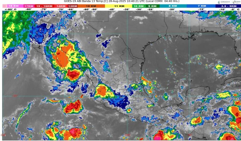 WhatsApp Image 2025-08-28 at 08.05.59