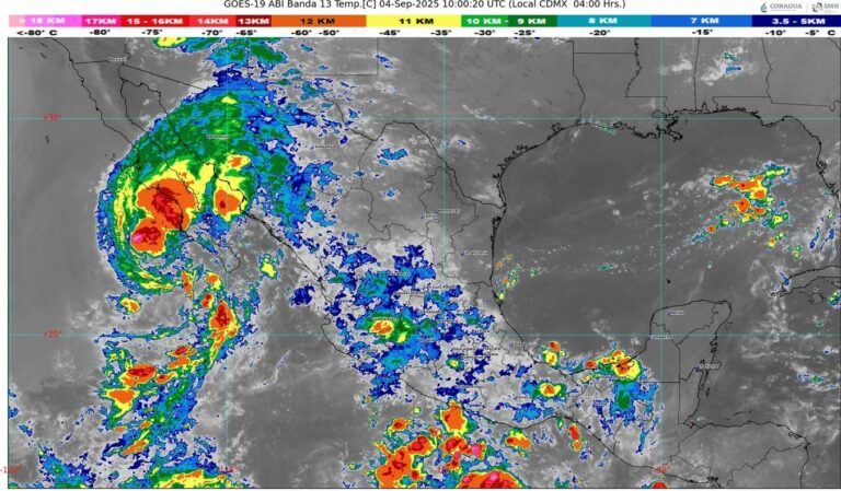 WhatsApp Image 2025-09-04 at 07.19.35