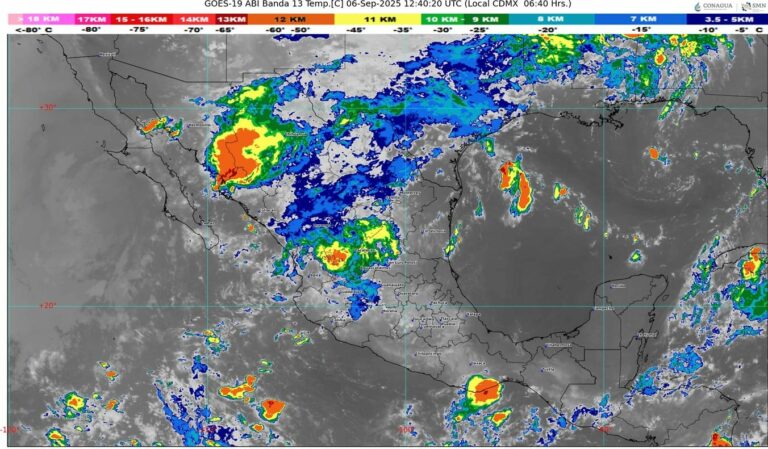 WhatsApp Image 2025-09-06 at 08.25.47