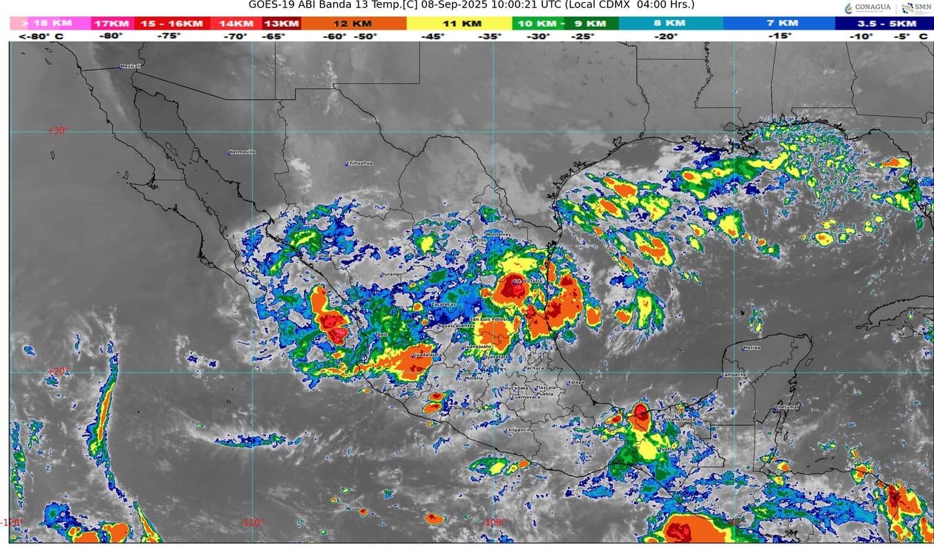 WhatsApp Image 2025-09-08 at 07.51.43