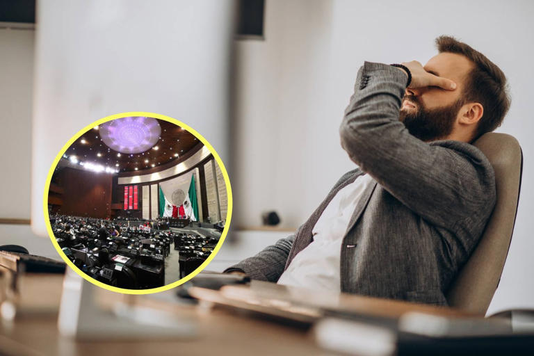 WhatsApp Image 2025-09-15 at 08.05.41