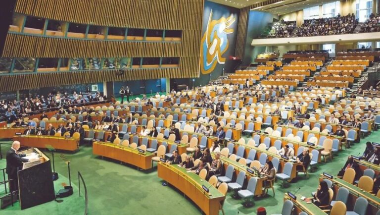 WhatsApp Image 2025-09-27 at 11.18.16