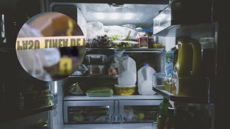 WhatsApp Image 2025-09-30 at 08.50.42